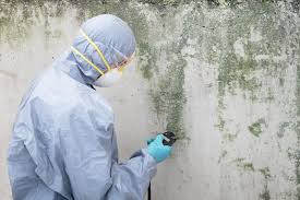 Best Crawl Space Mold Remediation  in Plymouth, PA